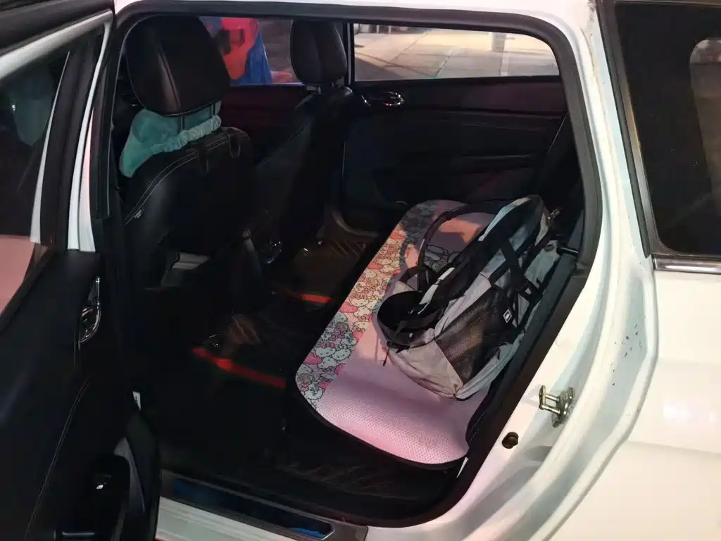 Photo 18 - Baojun 310W