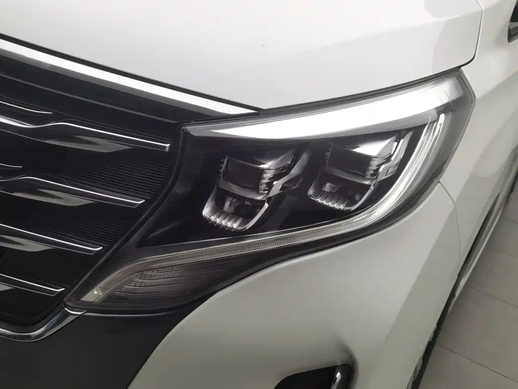 صورة 7 - GAC Trumpchi M8