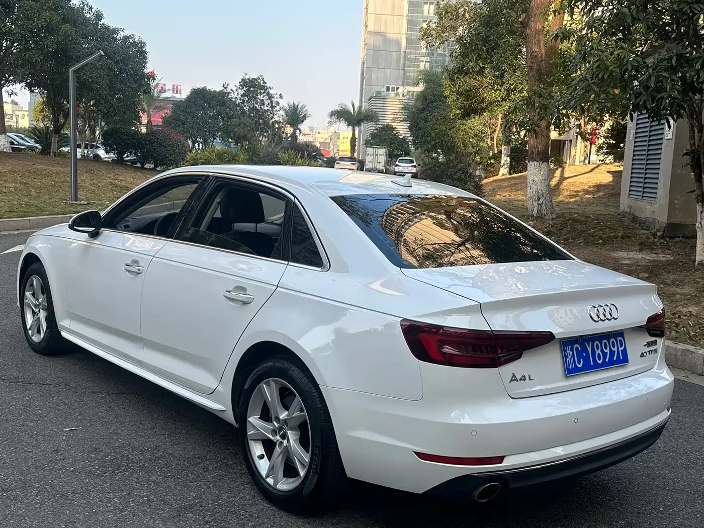 Audi A4L 2018 30th Anniversary 40 TFSI Progressive фото 6