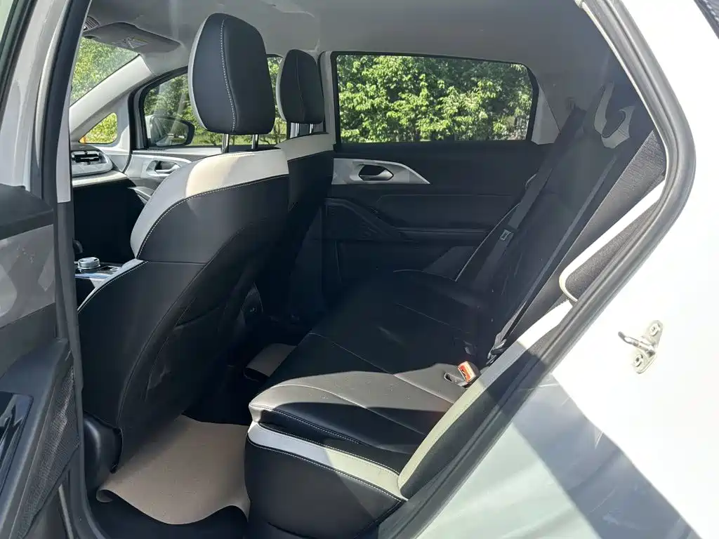 Geely Geometry E Firefly 2023 2023 320KM Cute Tiger 5-seater