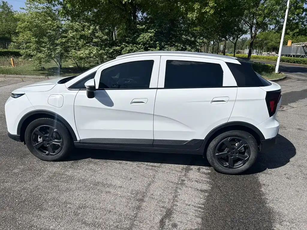 Geely Geometry E Firefly 2023 2023 320KM Cute Tiger 5-seater