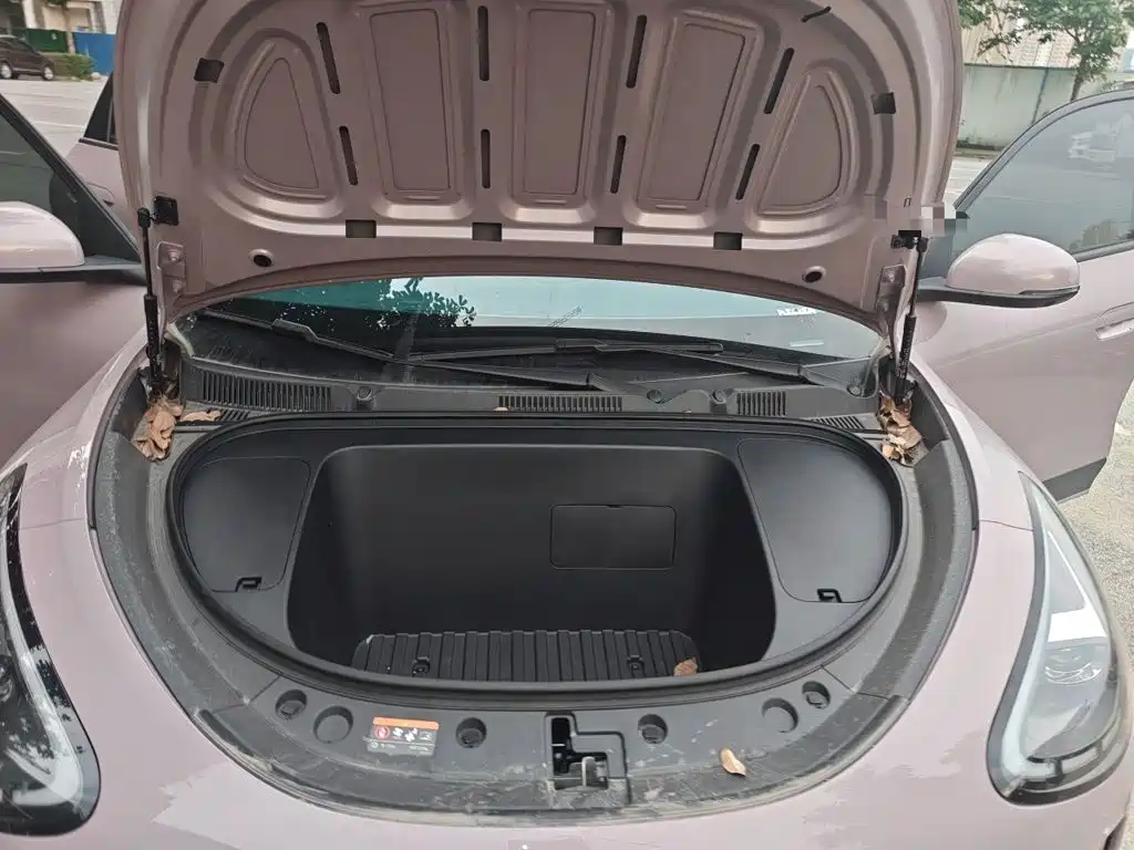 Geely Galaxy Starry Wish 2026 2026 Model 310km Dream Edition