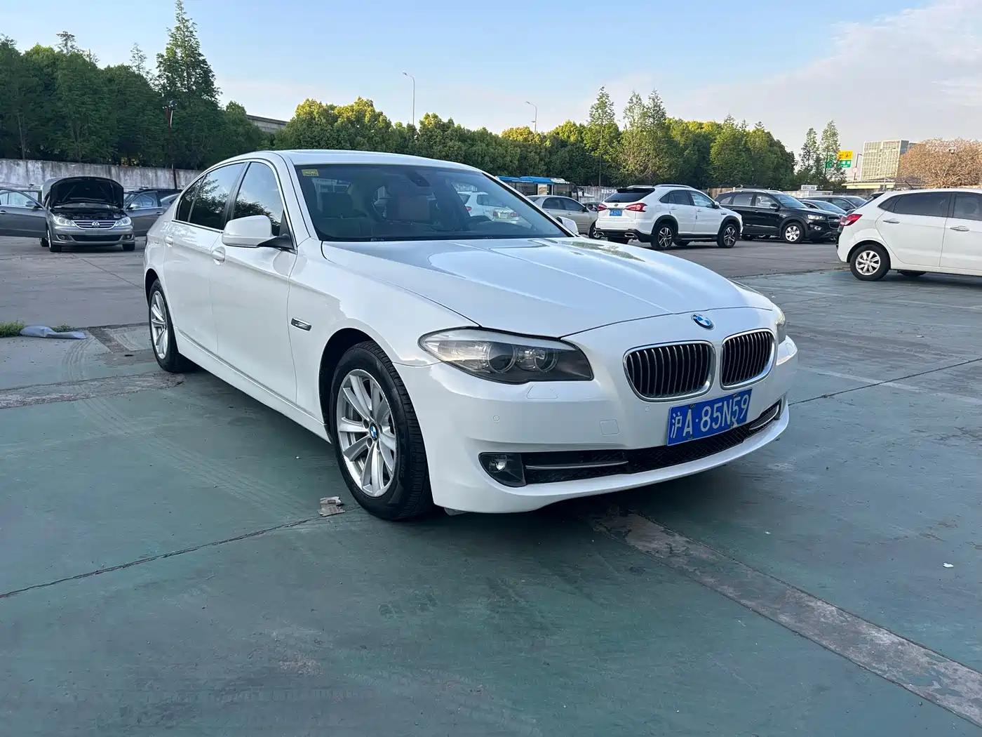BMW 5 Series 2011 520Li Elegance фото 3