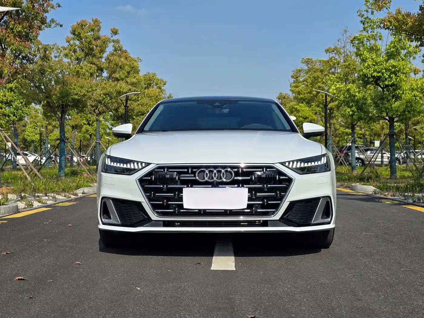 Audi A7L 2024 45TFSI quattro S-line Vision Edition Crystal Package фото 2