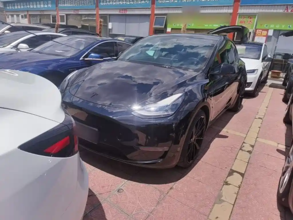 Tesla Model Y 2022 Performance High-Performance All-Wheel Drive Version