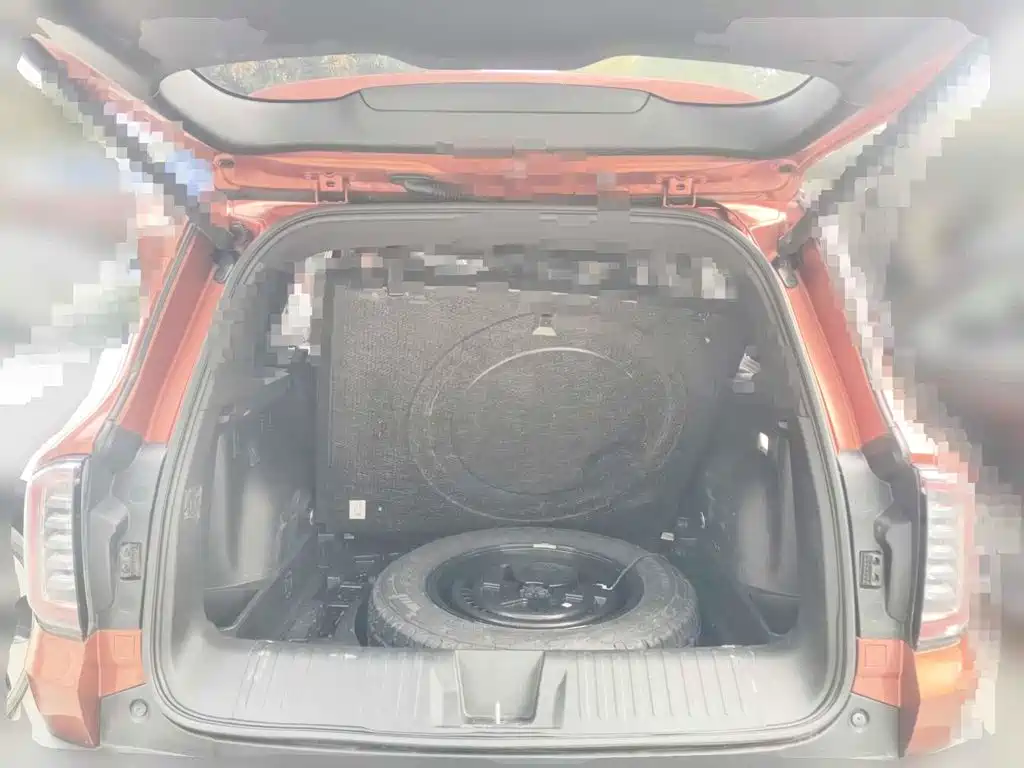 Фото 5 - Haval Dargo