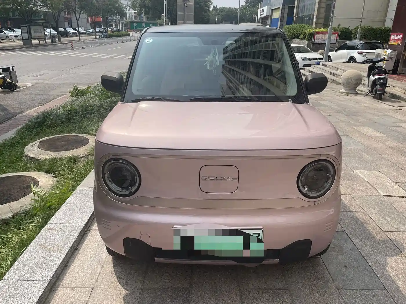 Geely Galaxy Panda 2023 2023 Panda Mini 200km Lively Bear