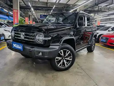 Tank 300