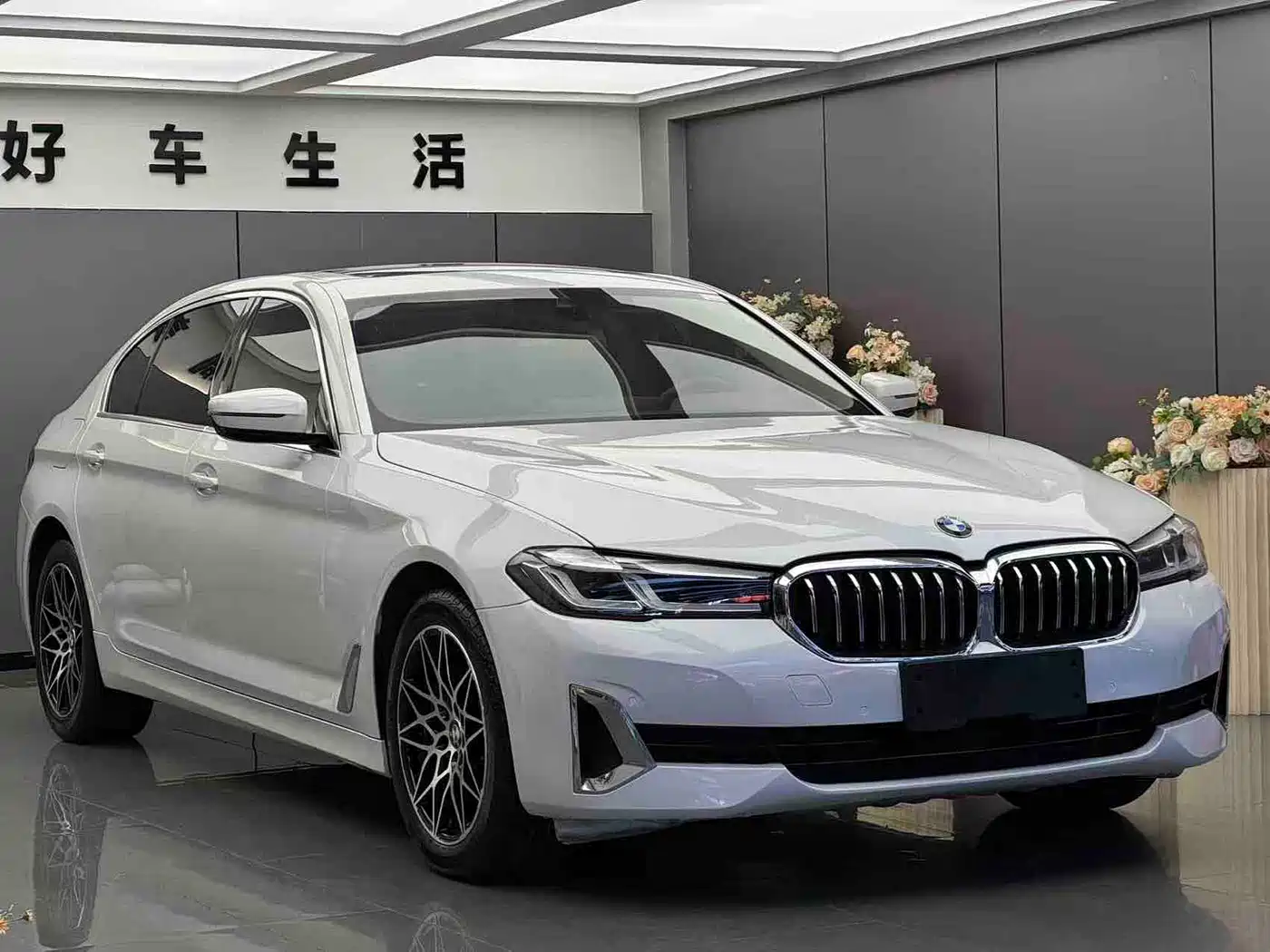 BMW 5 Series 2021 530Li Leading Luxury Package фото 3