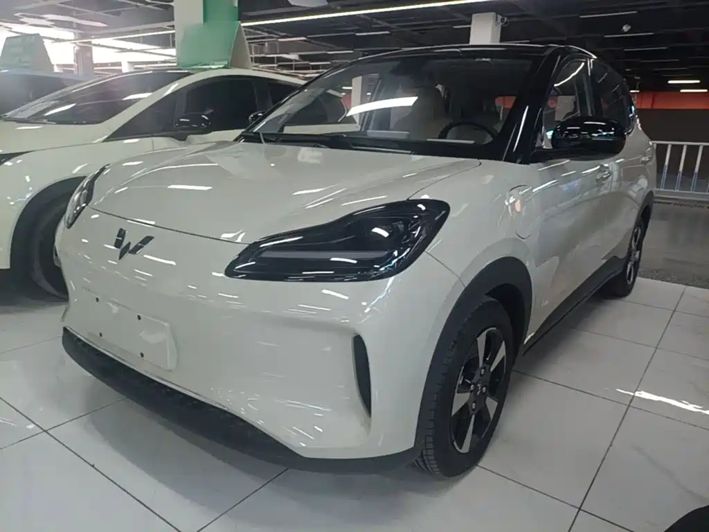 2026 Wuling Motors Wuling Binguo PLUS