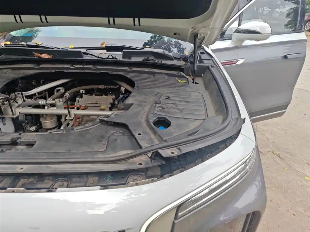 Hongqi E-HS9 2021 510km Flagship Edition 4-seater фото 22