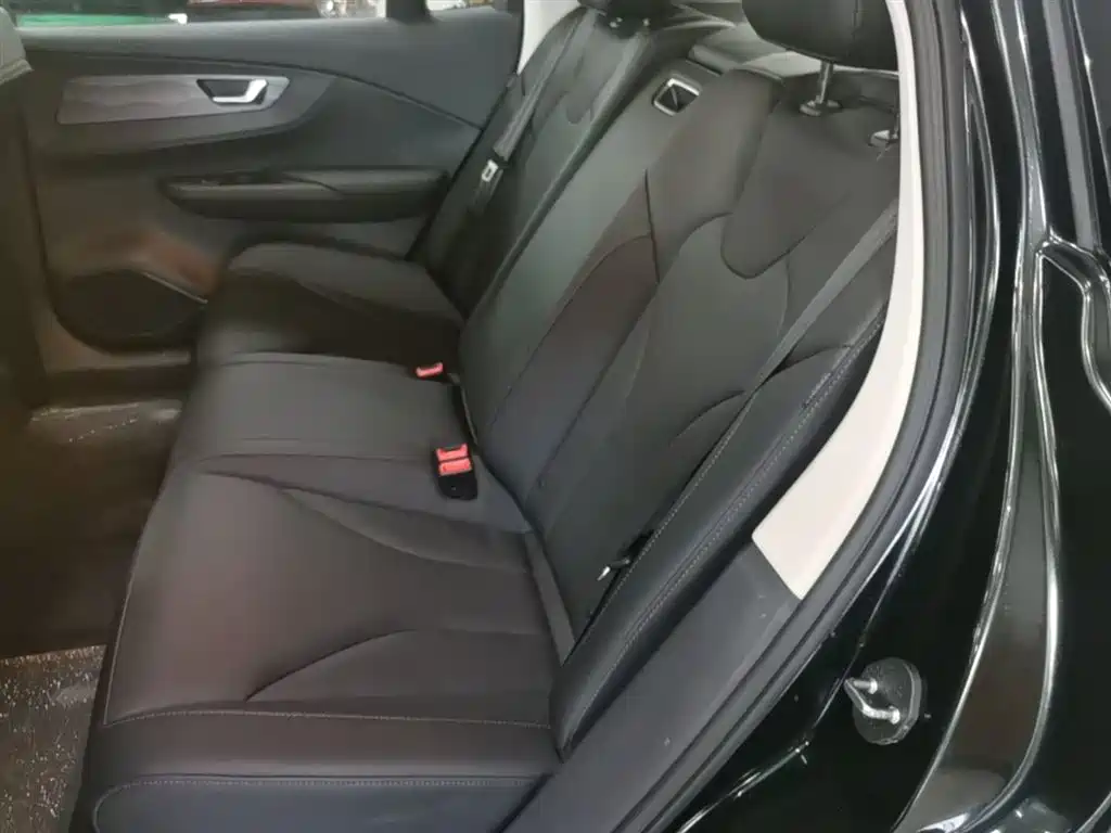 Hongqi E-QM5 2023 Facelift Basic Travel Edition фото 17