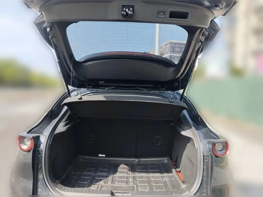 Mazda CX-30 2022 2021 2.0L Auto Premium Joy Type