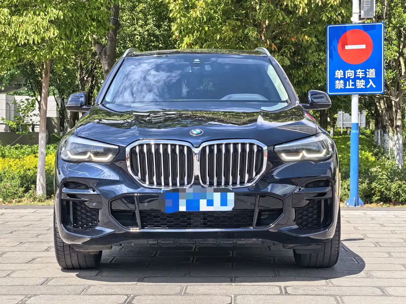 BMW X5 (Import) 2022 xDrive30i M Sport Package фото 2