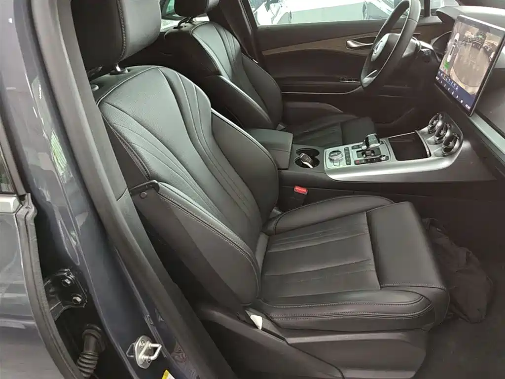 Denza X 2020 PHEV Sport Edition фото 25