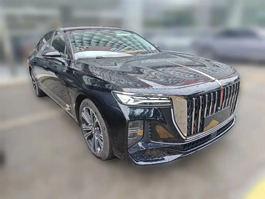 Hongqi H9 2024 2.0T Qi Enjoy Private Fashion Edition фото 7
