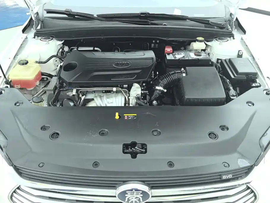 BYD Qin Pro 2021 2020 Surpass Edition 1.5TI Automatic Premium