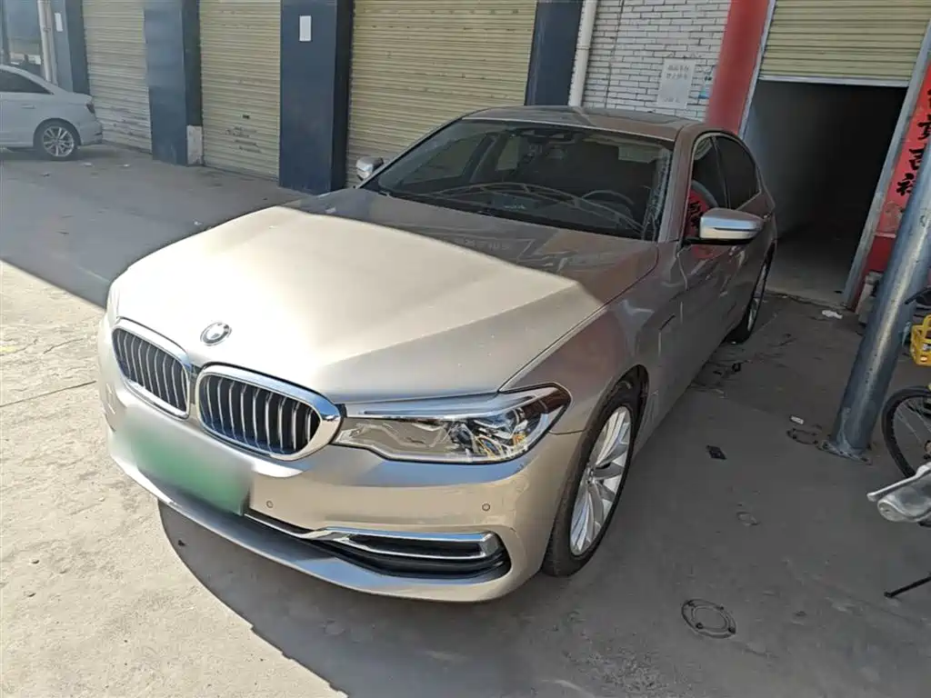 BMW 5 Series New Energy 2020 530Le Range Upgrade Luxury Package фото 2