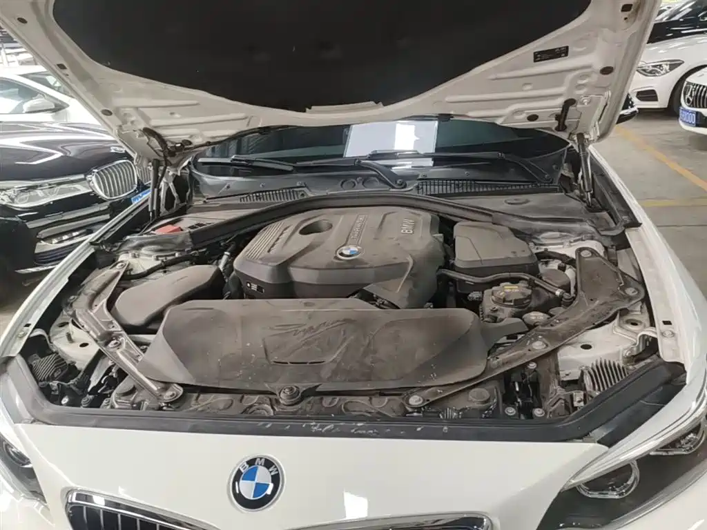 BMW 2 Series (Import) 2018 225i Convertible Coupe M Sport фото 20