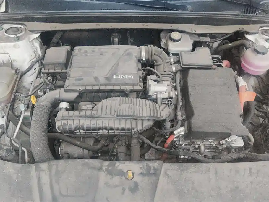 BYD Destroyer 05 2024 Glory Edition DM-i 55KM Luxury фото 10