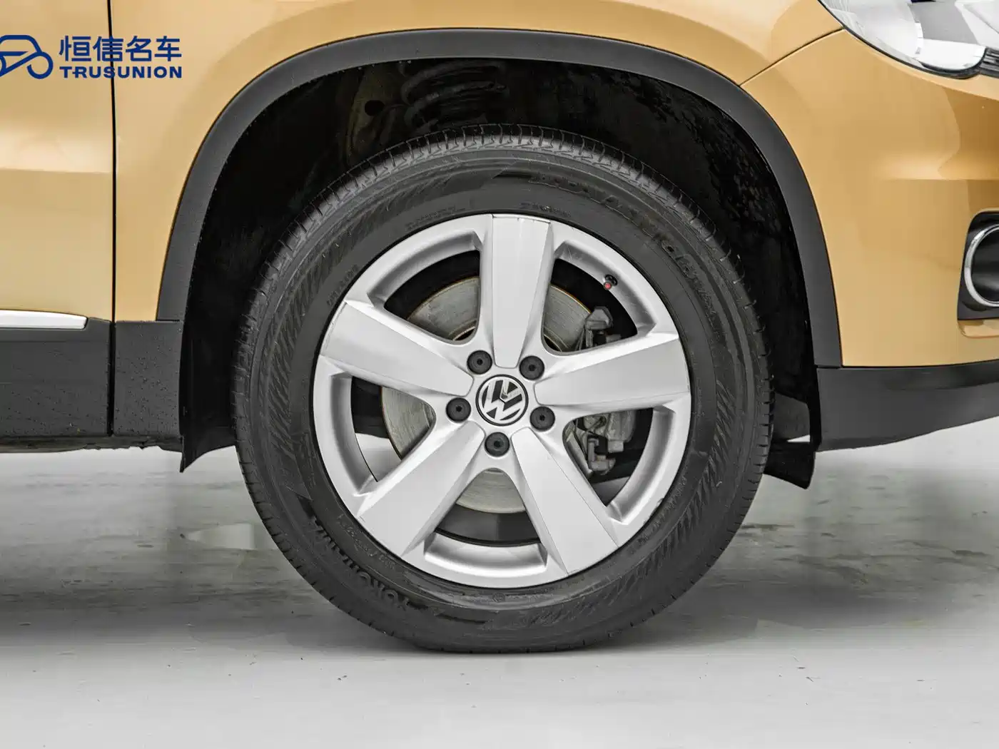 Volkswagen Tiguan 2012 2.0TSI Automatic 4WD Elite Edition фото 20