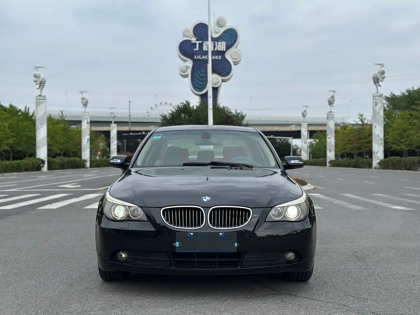 BMW 5 Series 2007 2007 523Li Elegance