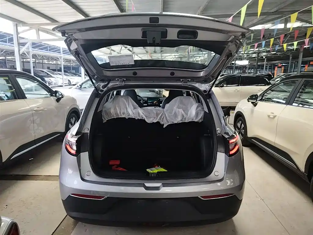 Geely Galaxy Starry Wish 2026 Edition 310km Youth Version фото 19