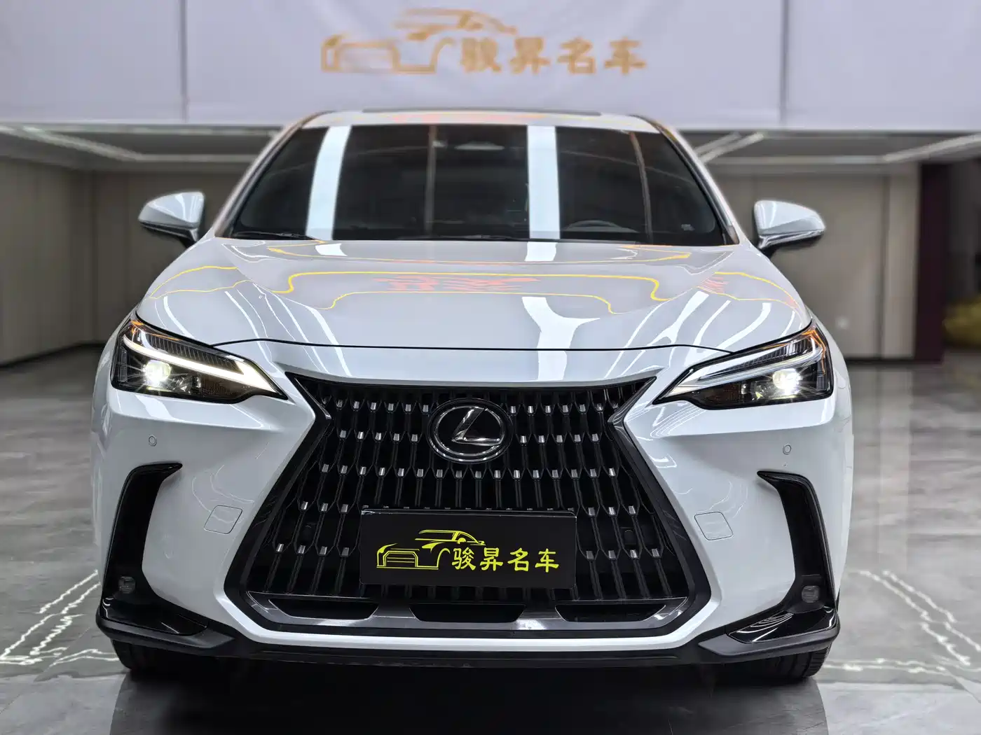 LEXUS NX