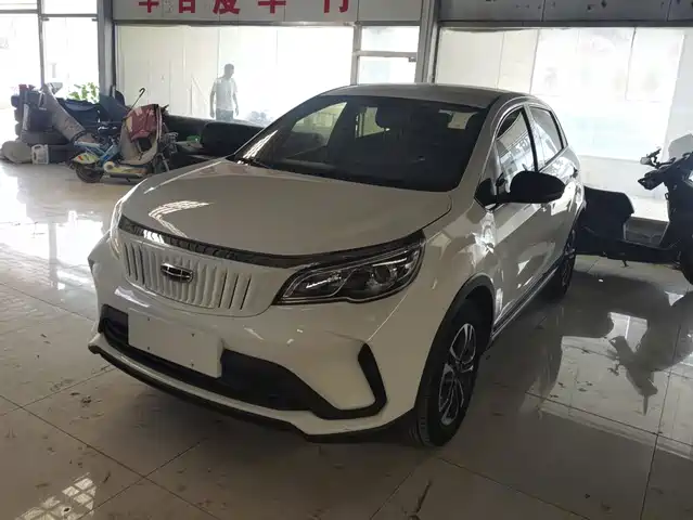  Geely Geometry EX3 Kung Fu Bull 2021 Strong Bull