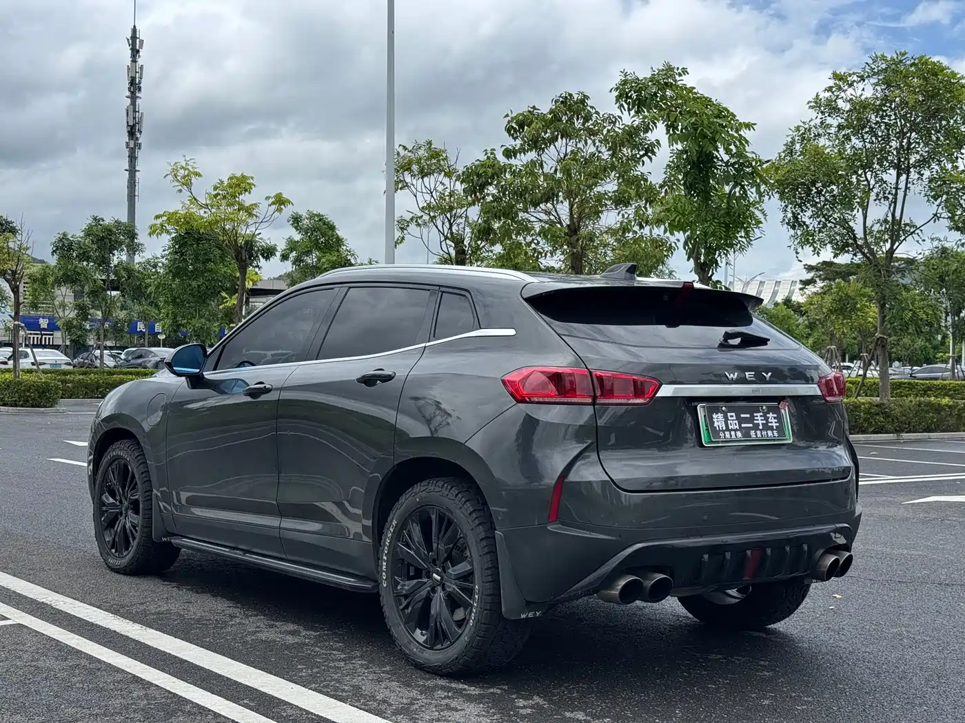 WEY P8 2018 2018 2.0T Flagship Model