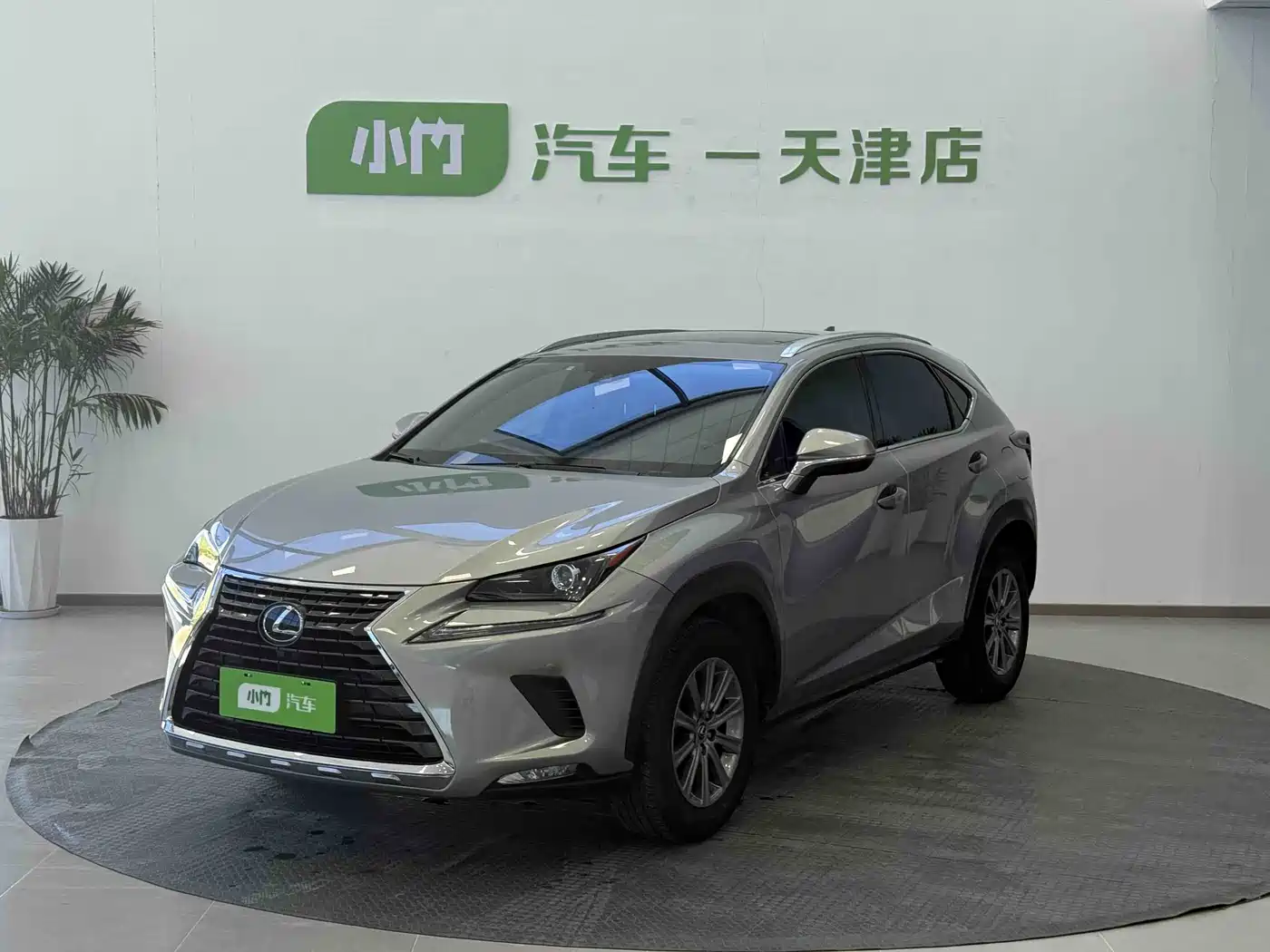 Lexus NX 2020 200 AWD F Sport China V