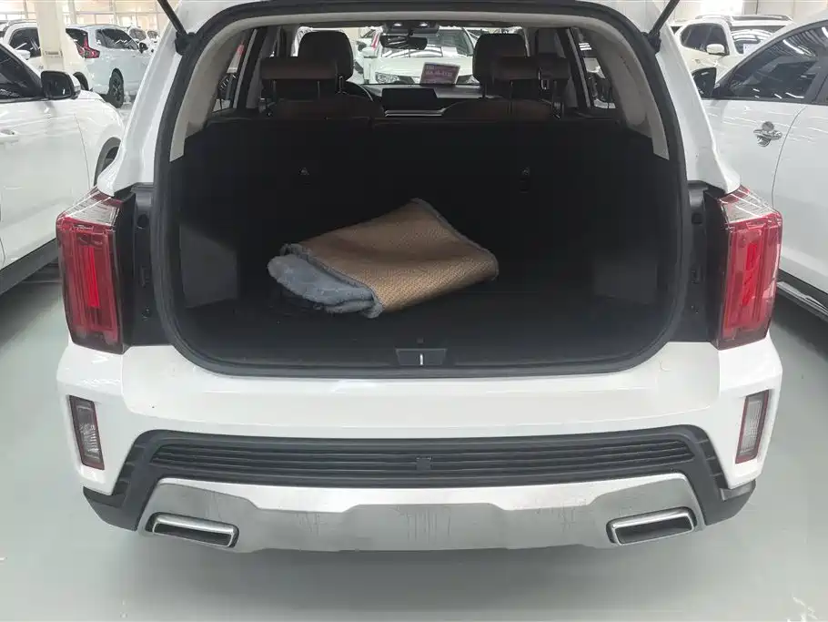 Kia Sportage 2021 Ace 2.0L Brilliant Edition фото 4