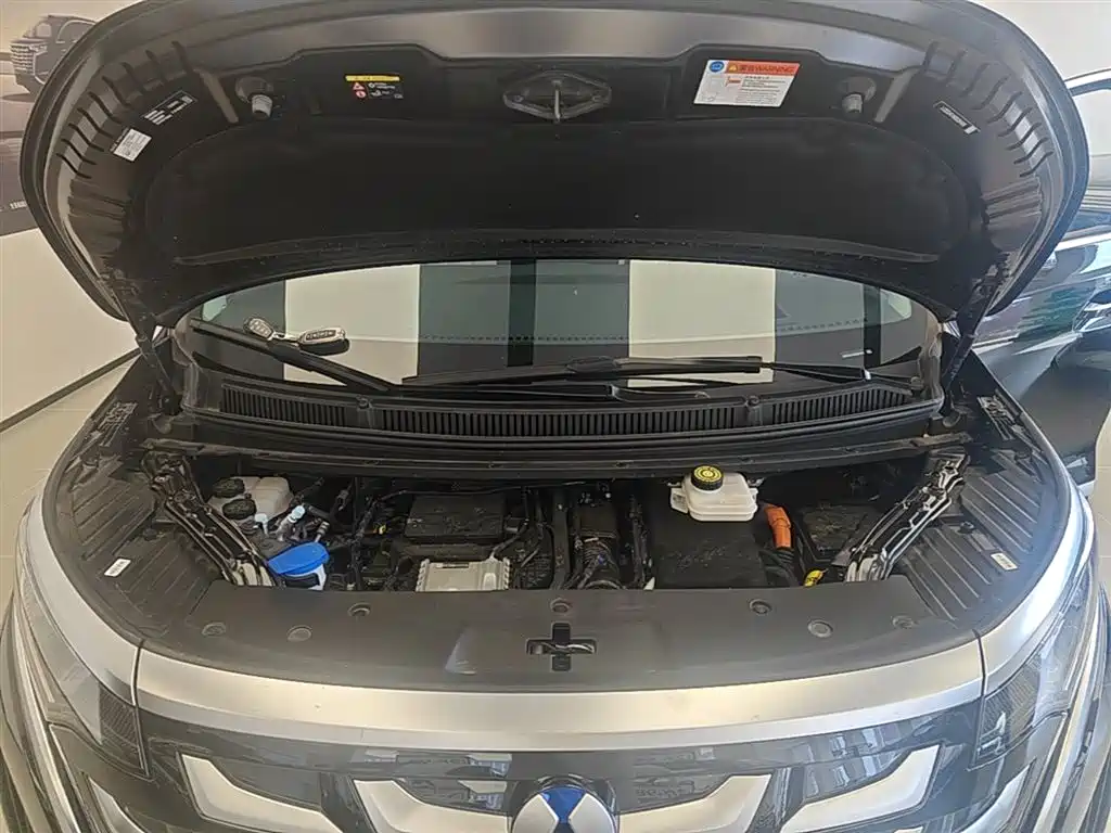Denza D9 2025 Model DM-i Smart Drive Edition 1020 AWD Flagship фото 20