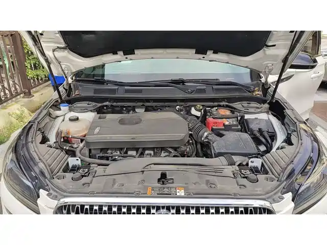 Lincoln Adventurer 2020 2.0T 2WD Premium Elegance Edition — фото 3