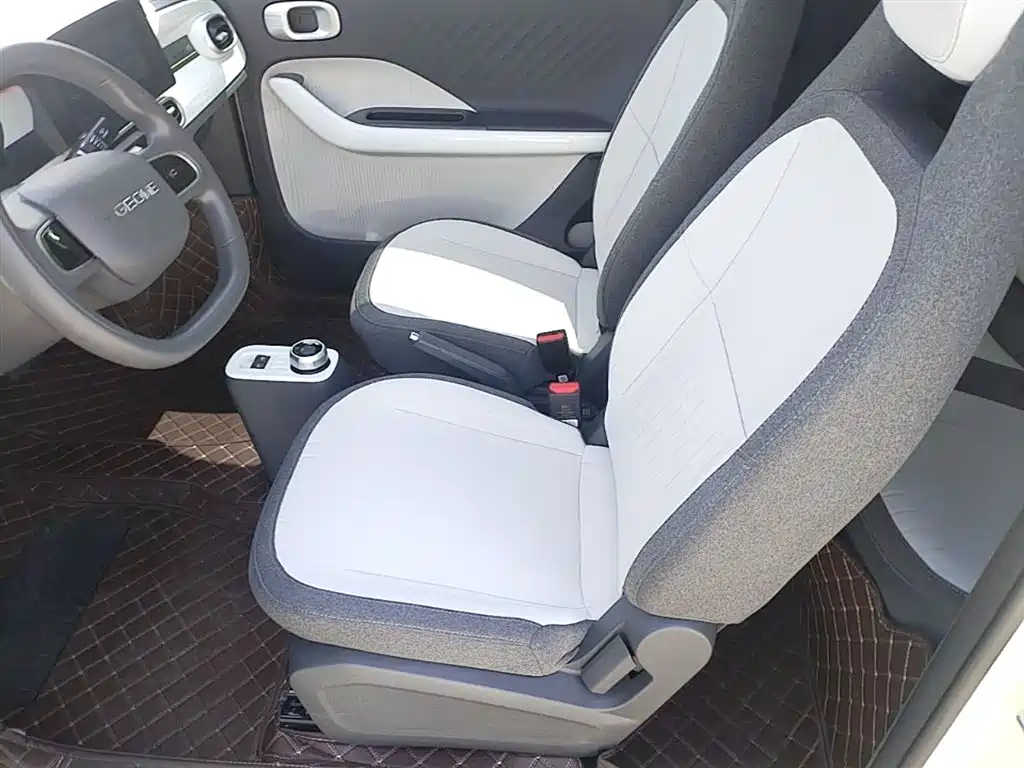 Geely Galaxy Panda 2025 Panda mini 210km Vitality Bear фото 15