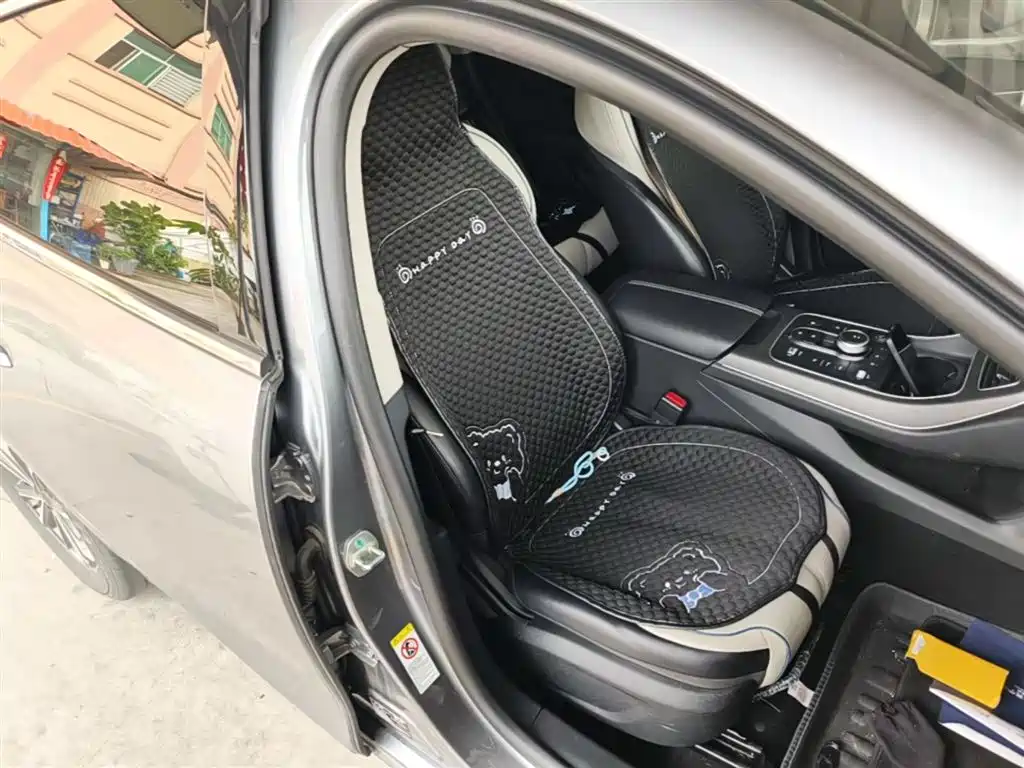 BYD Destroyer 05 2023 Champion Edition DM-i 55KM Luxury фото 25