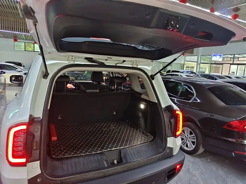 Haval Big Dog 2021 1.5T DCT 2WD Labrador Edition фото 19