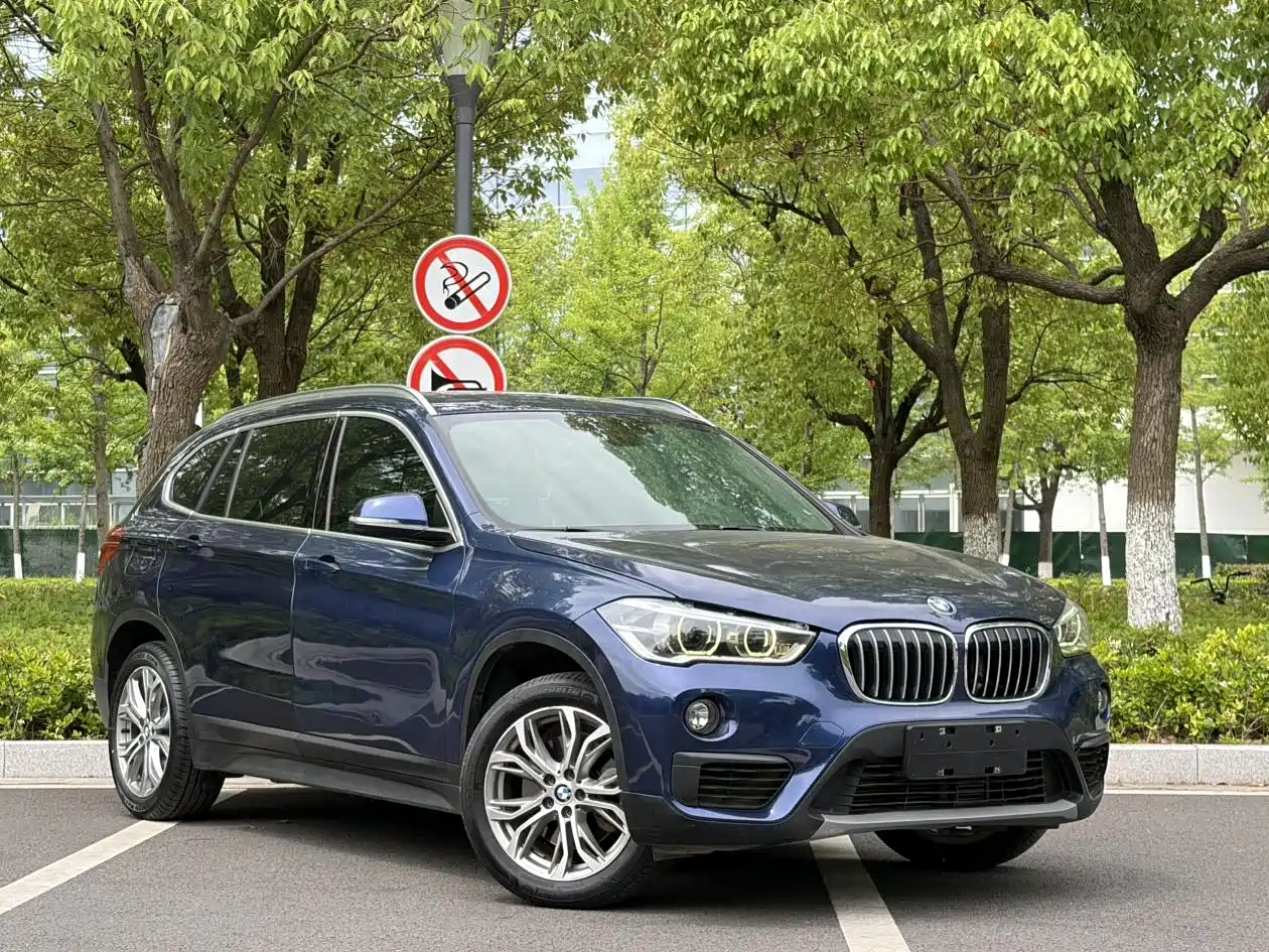 BMW X1 2019 sDrive20Li Leading Model фото 3