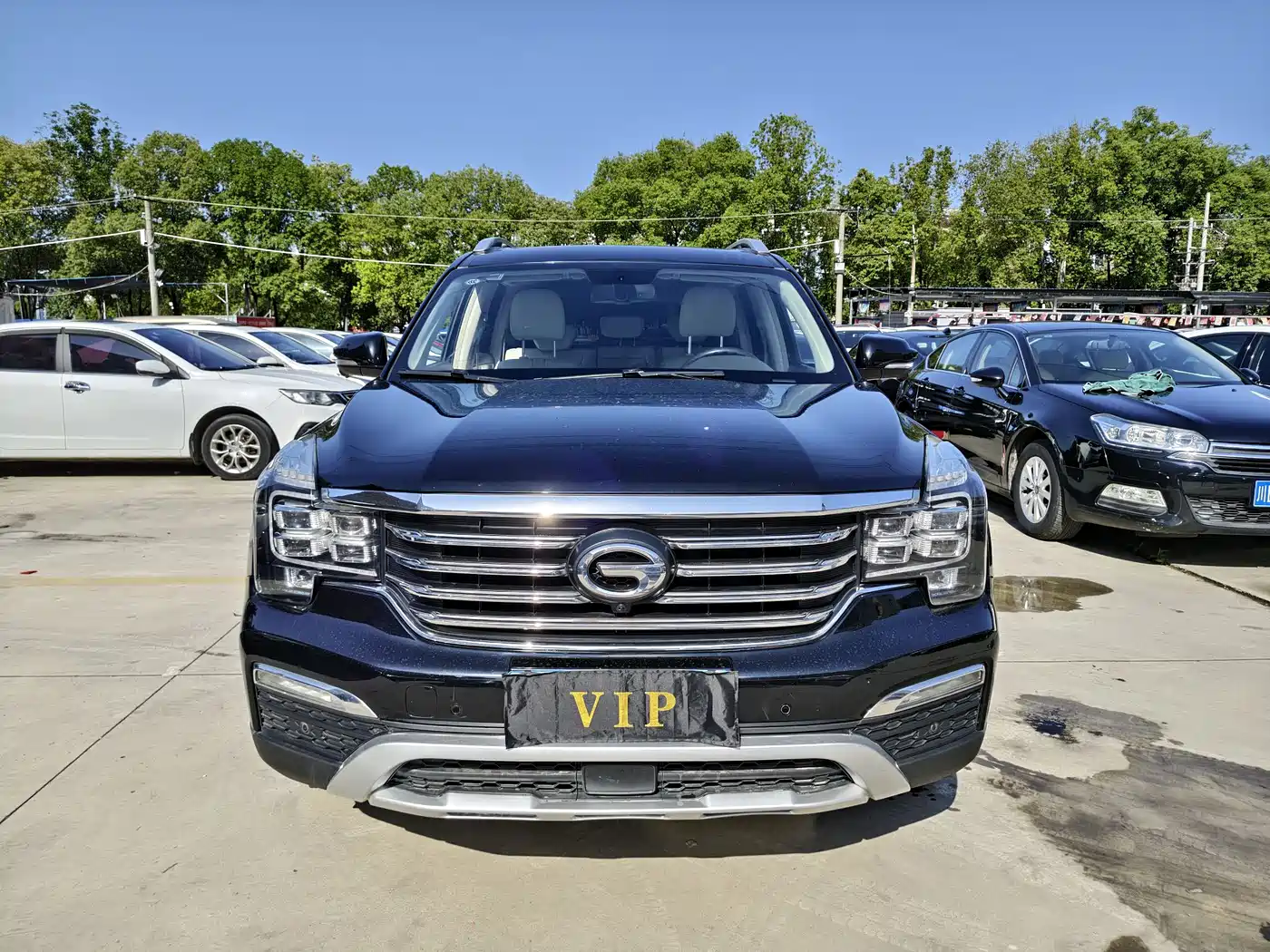 GAC Trumpchi Trumpchi GS8 2017 320T AWD Luxury Smart Connect (7-Seater) фото 2