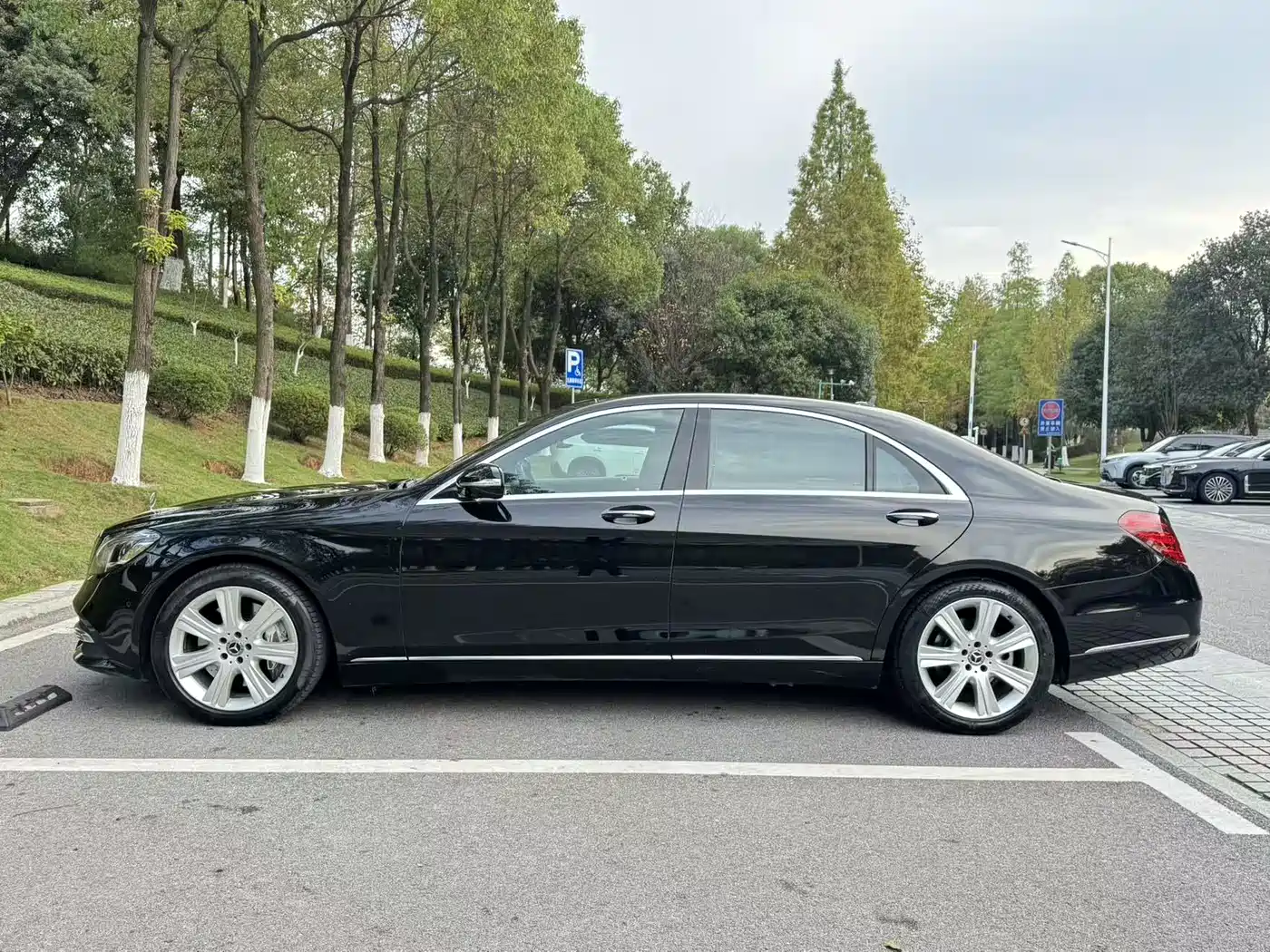 Mercedes-Benz S-Class 2019 S 450 L фото 7