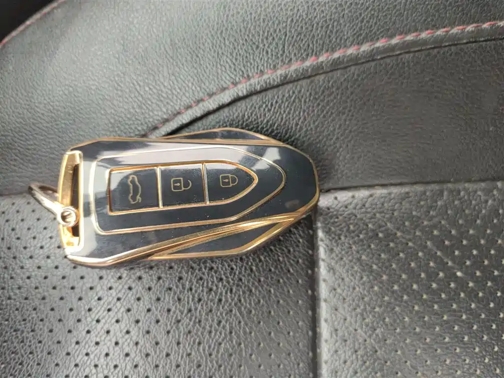 Leopaard CS10 2017 2017 Model 2.0T Automatic Luxury Edition