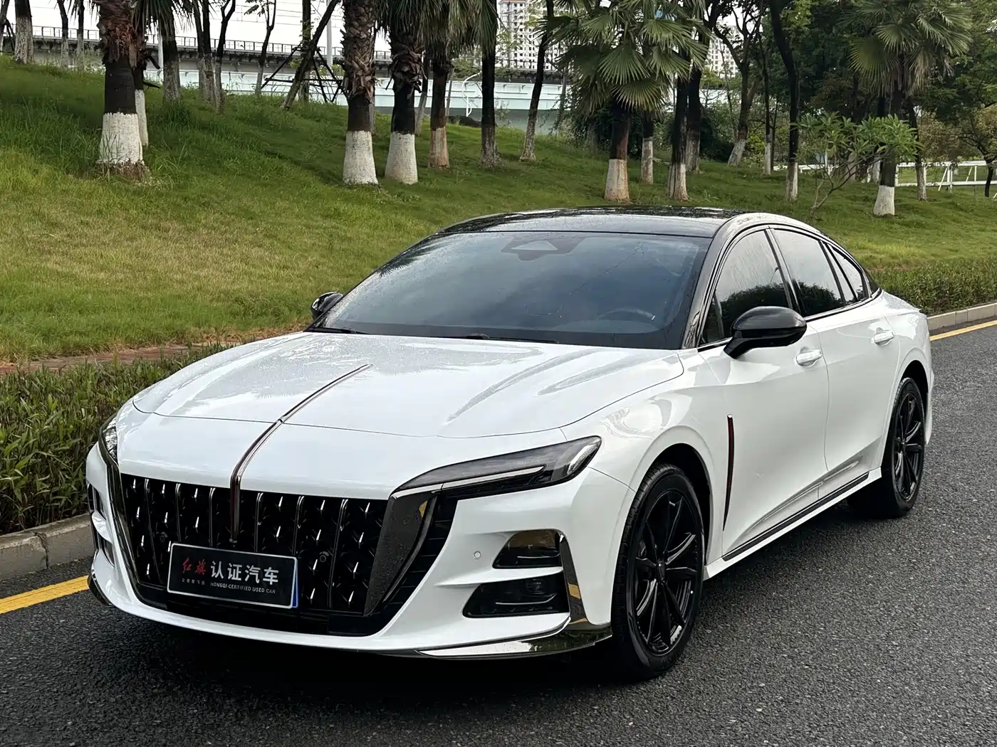 Hongqi H6 2023 2023 2.0T Premium Edition