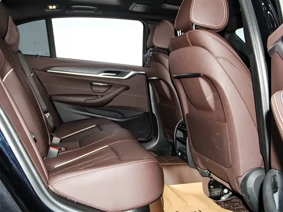 BMW 5 Series 2021 530Li Leading M Sport Package фото 23