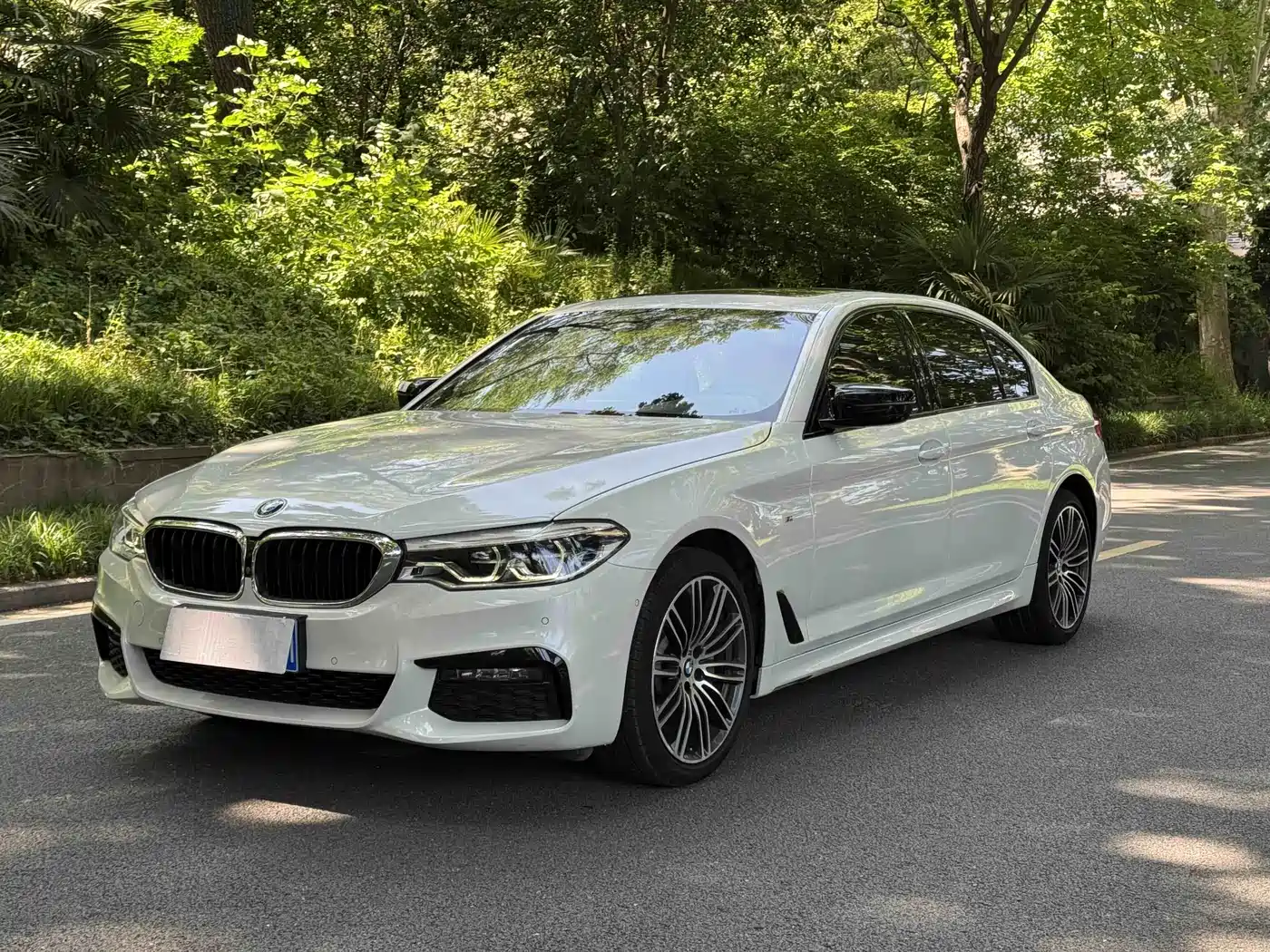 BMW 5 Series 2019 530Li Leading M Sport Package