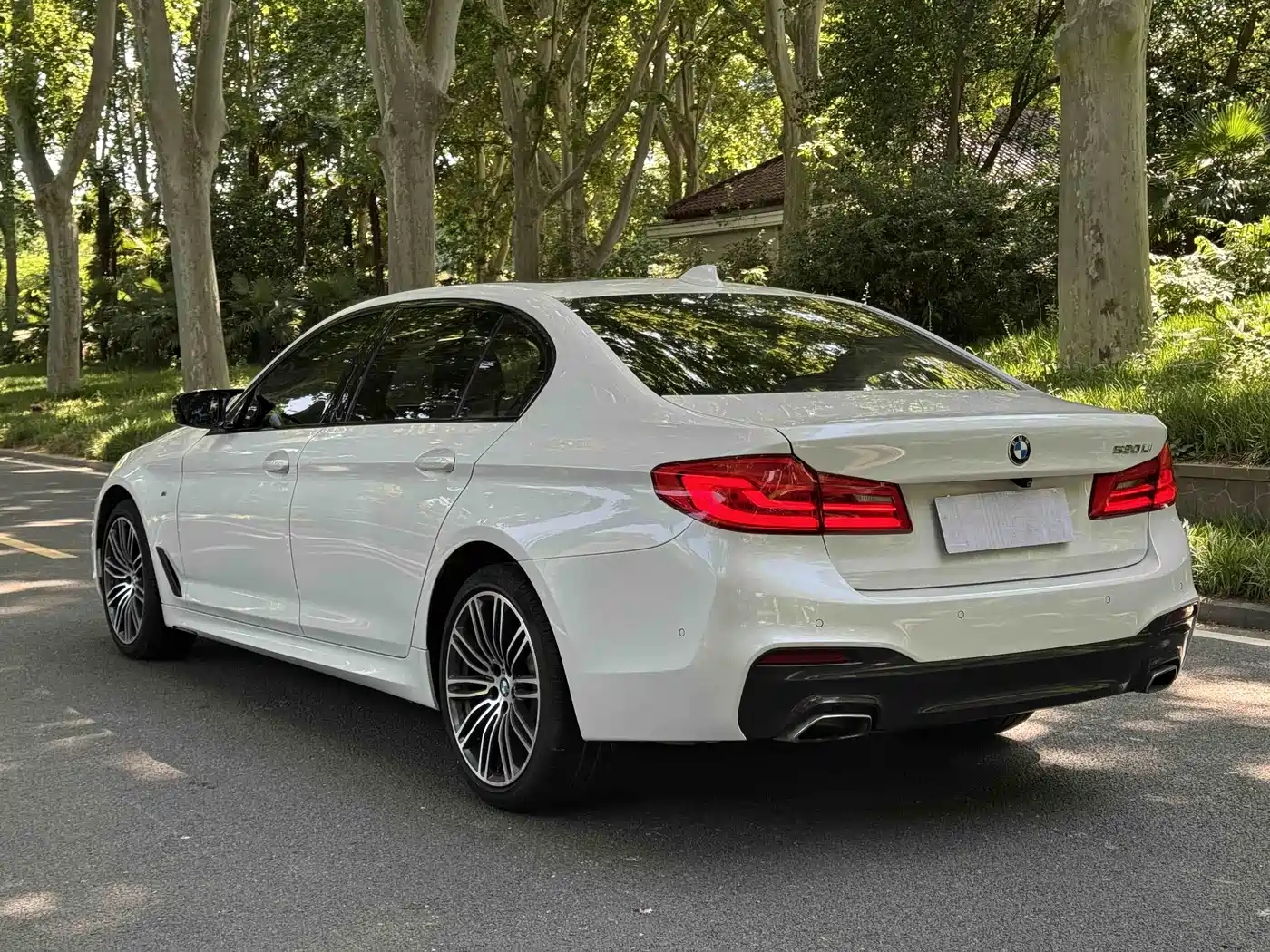 BMW 5 Series 2019 530Li Leading M Sport Package фото 12