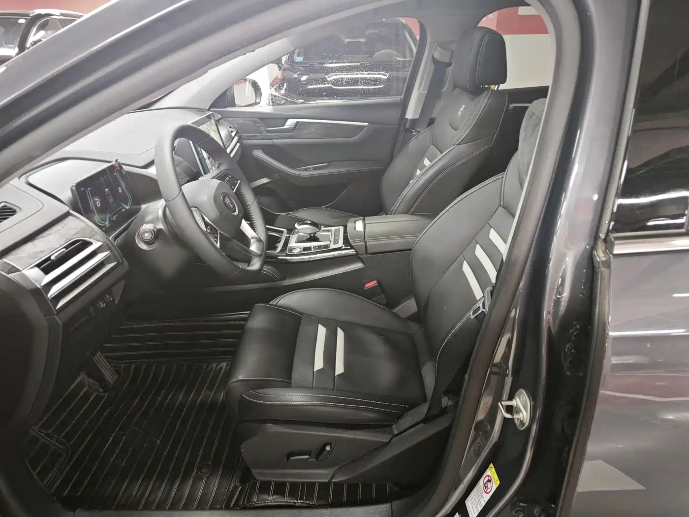 BYD Qin Pro New Energy 2019 EV Super Edition High Power Long Range Smart Connected Leader Type фото 7