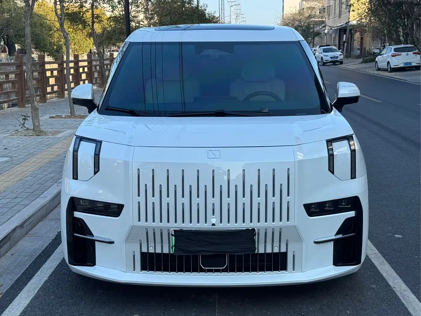 ZEEKR EXTREME KRYPTON 009