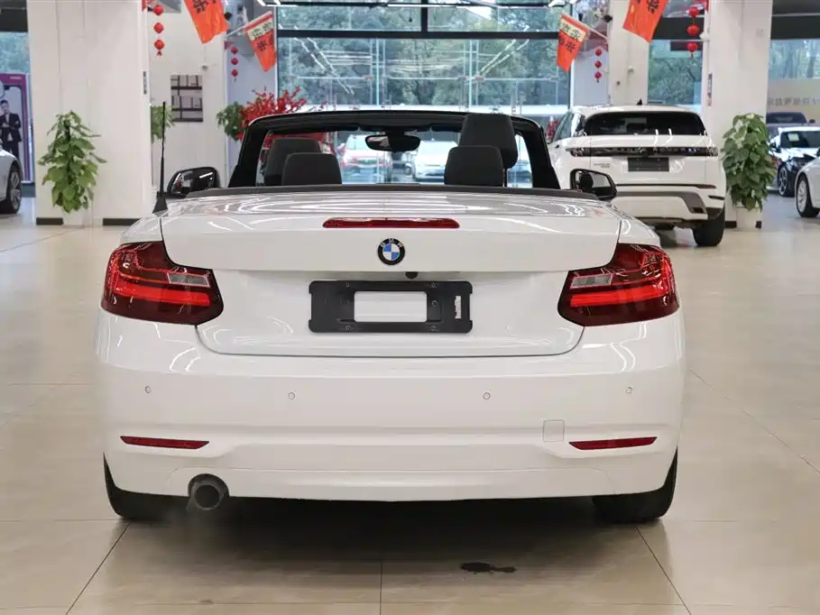 BMW 2 Series (Import) 2015 218i Convertible Coupe фото 4