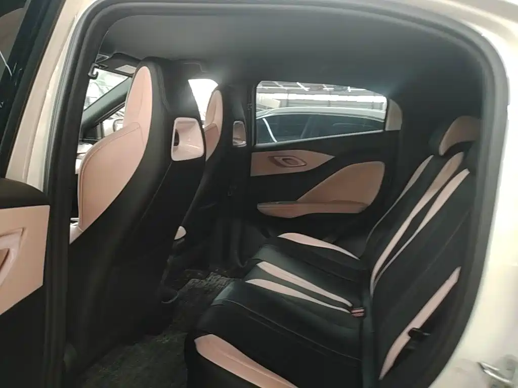 BYD Seagull 2026 2025 Smart Drive Edition 305km Vitality Version