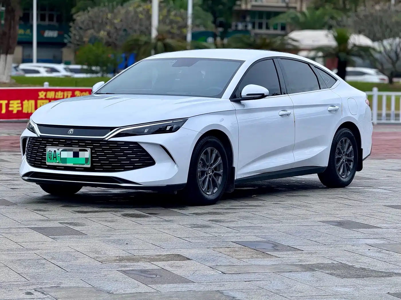 BYD QIN L